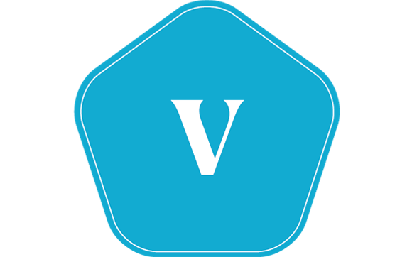 Vision Package by ENVHA - Environments for Health and Advancement