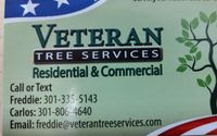 Veteran Tree Services  by Veteran Tree Services