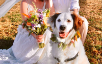 Wedding Bouquets by Flower Power