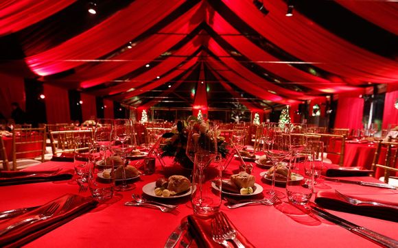Ceiling Drapery  by Pipe Dream Events