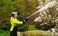 Tree Care & Turf Care by Seacoast Tree & Seacoast Turf