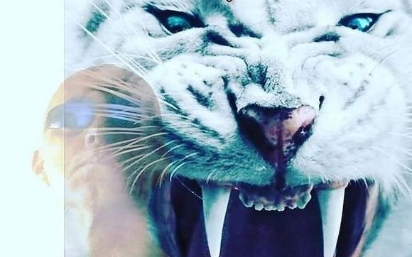 Financial Opportunities person or business by businessgrowthdevelopment.com