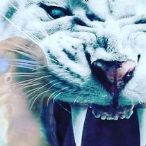 Financial Opportunities person or business by businessgrowthdevelopment.com