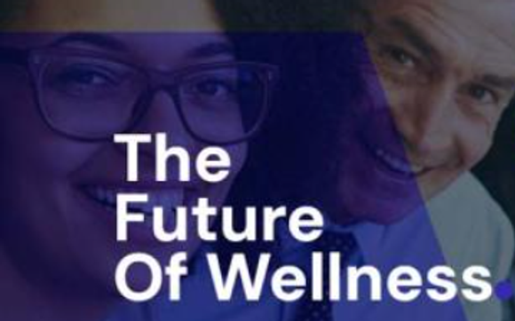 360 Participatory Wellness Program for Employers with over 10 full-time Employees (W-2's) by Tooley Consulting 