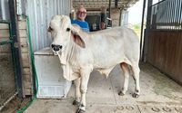 Animal / Equine Facilitated Learning by Duck'N Stables / A Stable Learning LLC