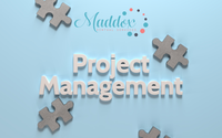 Project Management by Maddox Virtual Services, LLC