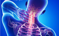 Spine and Disc Center Of Brooklyn by Spine and Disc Center of Brooklyn