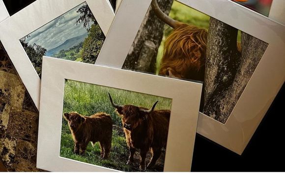 Nature Photography Prints by Altered Life Photography