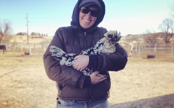 Pet Boarding & Day Care by Mountain Heart Animal Healing & Wellness
