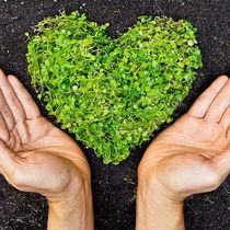 Chemical Detoxing of Your Home by Sullivan Holistic Consulting