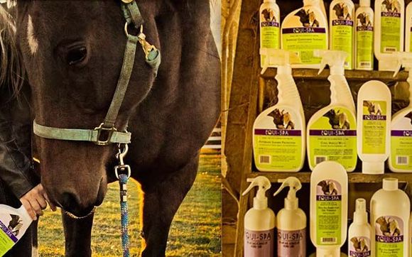 Equispa line of grooming products for horses by Equispa LLC
