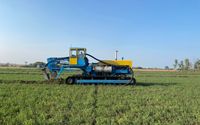 Drainage solutions  by Earthworks LLC