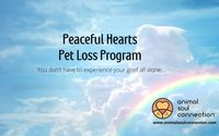 Peaceful Hearts Pet Loss Program by Animal Soul Connection ~Holistic care, Education & Intuitive Connection