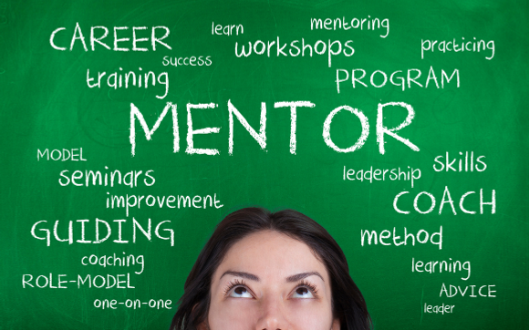 Pinch PMO Monthly Mentoring: Propel Your Project Management Career by Pinch PMO