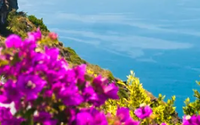 Vacation Packages by Opulent Cruises and Travel