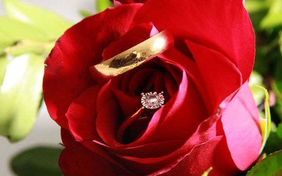 Engagement Photos by Chris Herder Photography