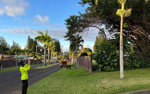 Job inspection  by Kohala Tree Service LLC
