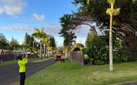 Job inspection  by Kohala Tree Service LLC