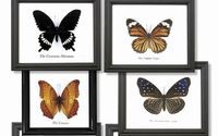 Wholesale Gifts & Decor by World Buyers Wholesale Gifts & Decor