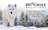 We Integrate with Your Accounting Software by Big Wolf Solutions