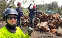 Tree Services (808) 333-8031 by Kohala Tree Service LLC