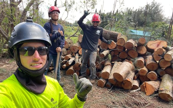 Tree Services (808) 333-8031 by Kohala Tree Service LLC