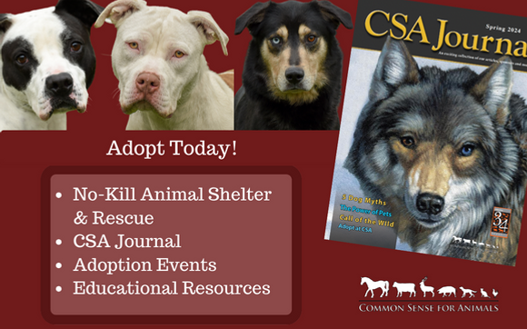 Animal Adoption by Common Sense for Animals