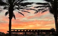 Exotic Destination Travel by Freestone Travel