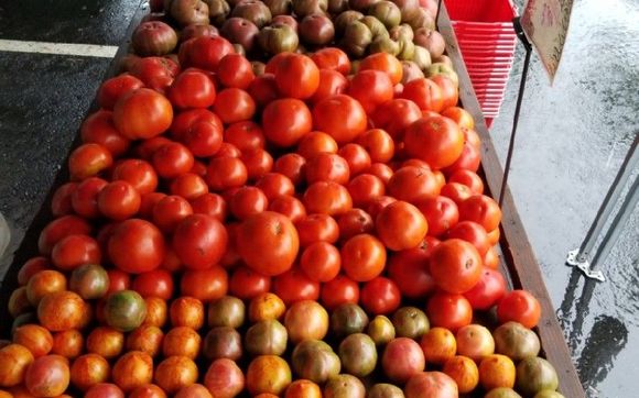 Organic Vegetables by New Canaan Farmers Market in New Canaan, CT ...