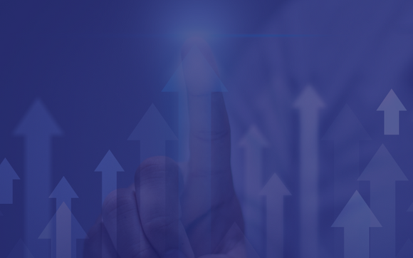 Fractional CFO Services by Pittroe™ Business Services LLC