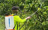 Horticultural Insecticides  by Kohala Tree Service LLC