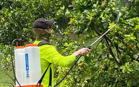 Horticultural Insecticides  by Kohala Tree Service LLC