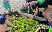 Support Us with Tax-Deductible Donations by Northeast Earth Coalition