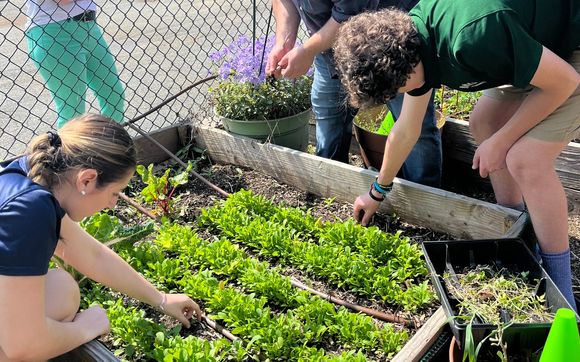 Support Us with Tax-Deductible Donations by Northeast Earth Coalition