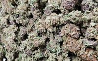 Lemonookie by Cowboy Cannabis Company