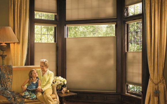 Dual Opening Shades by Custom Touch Window Fashions