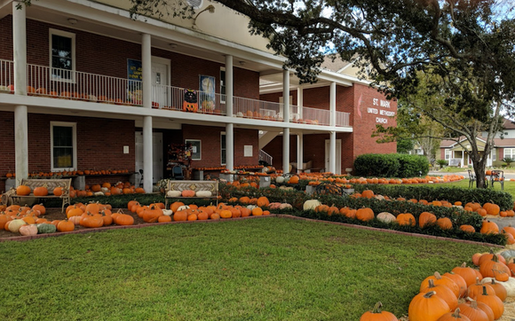 The Original Pumpkin Patch by St Mark United Methodist Church in ...