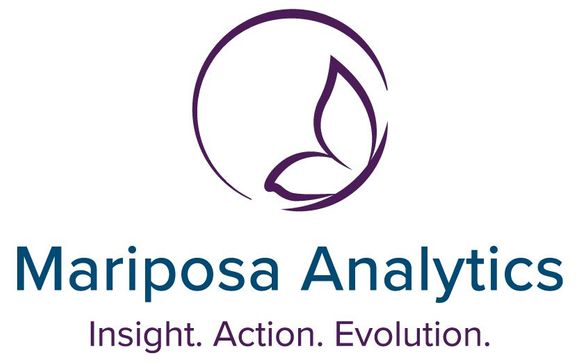 Leadership Development by Mariposa Analytics