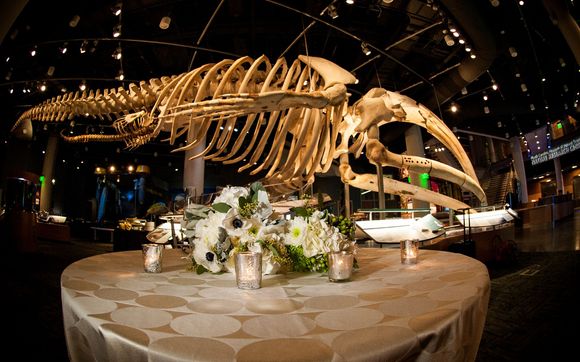 Nature Research Center, First Floor by Friends of the North Carolina ...