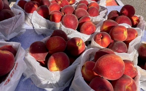 Peach Season! by Historic Longview Farmers Market