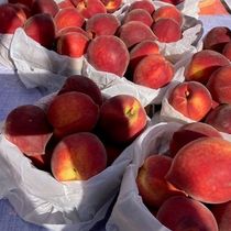 Peach Season! by Historic Longview Farmers Market