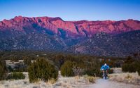 1 on 1 Training sessions- 1 hr, 1 mo., 3 mo.'s by Govbidpro