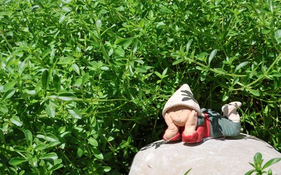 Life coaching by LifeShift Coaching