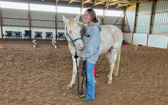 Equine Mindfulness Experience by Just Breathe With A Horse