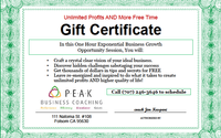Premium Business Coaching - Call today for a FREE Powerful Strategy Session by PEAK Business Coaching