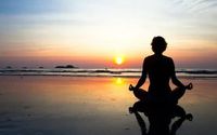 12 Week Nervous System Reset Program by Kimbley Quantum Collective/University