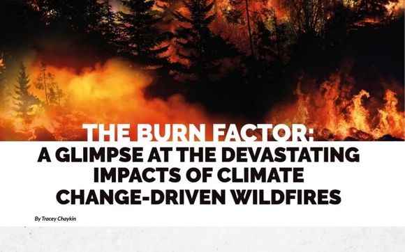 Writer by Tracey Chaykin Fine Art