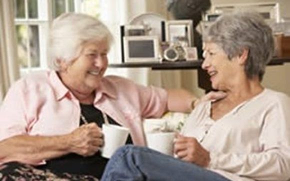 Companionship/Socialization by Seniors Helping Seniors® Tri-Cities