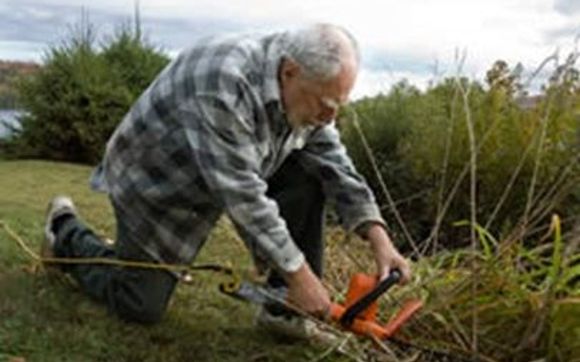 Light Handyman Services by Seniors Helping Seniors® Tri-Cities