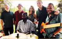 Live musical entertainment by NEO Project
